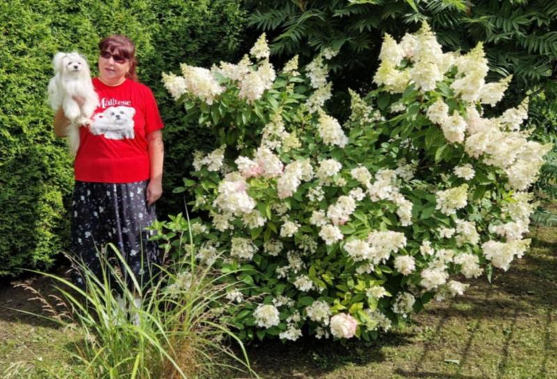 Ulvi2016 uploaded   261  day/s  ago