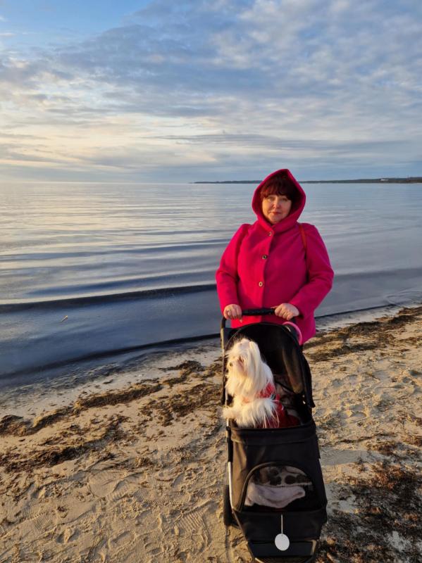 Ulvi2016 uploaded   1 year/s ago