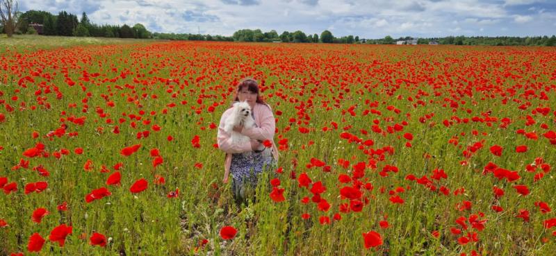 Ulvi2016 uploaded   311  day/s  ago