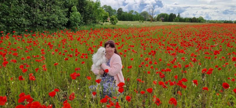 Ulvi2016 uploaded   311  day/s  ago