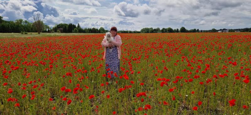 Ulvi2016 uploaded   311  day/s  ago