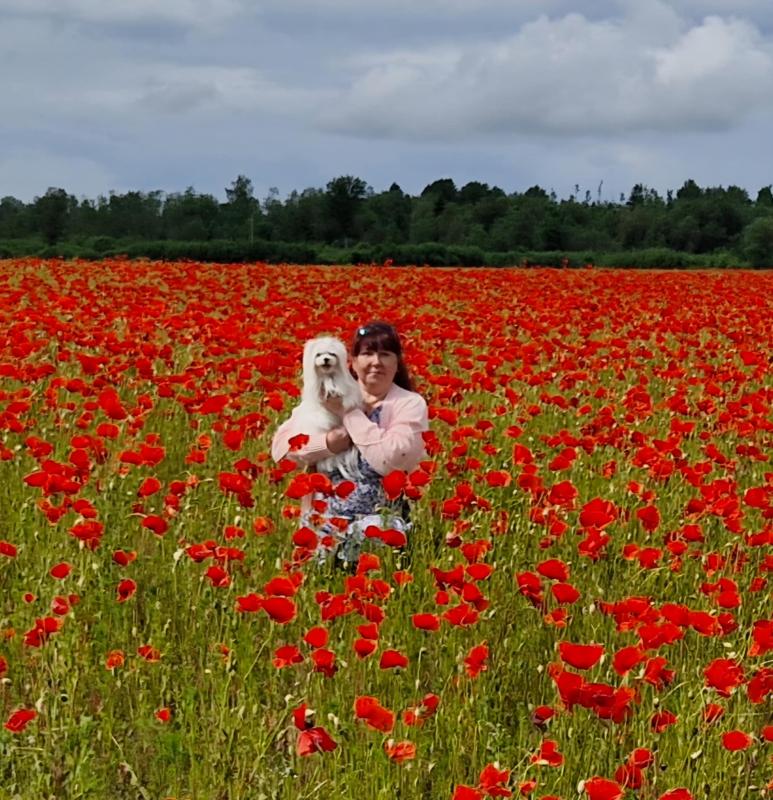 Ulvi2016 uploaded   311  day/s  ago