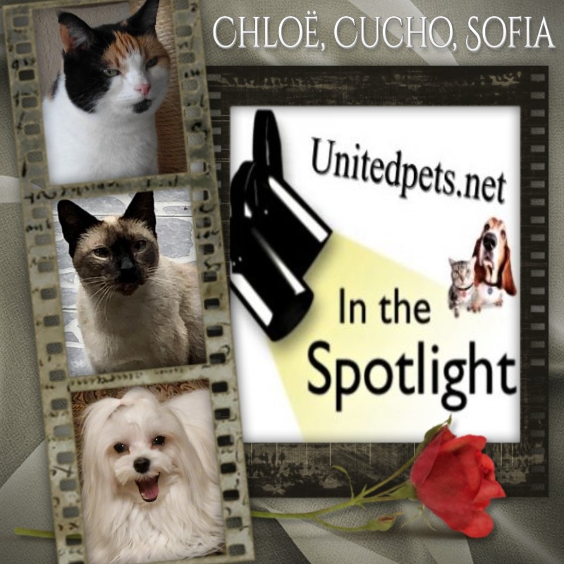 Ulvi2016 uploaded   42  day/s  ago