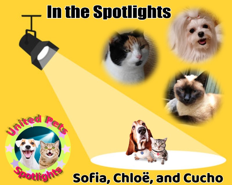 Ulvi2016 uploaded   35  day/s  ago