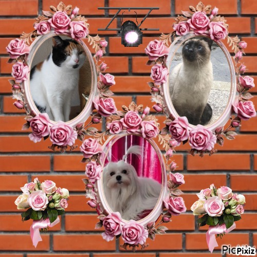 Ulvi2016 uploaded   44  day/s  ago