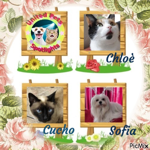 Ulvi2016 uploaded   35  day/s  ago