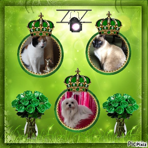 Ulvi2016 uploaded   44  day/s  ago