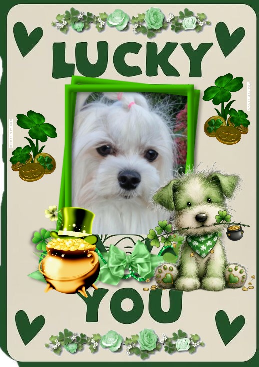 Ulvi2016 uploaded   35  day/s  ago