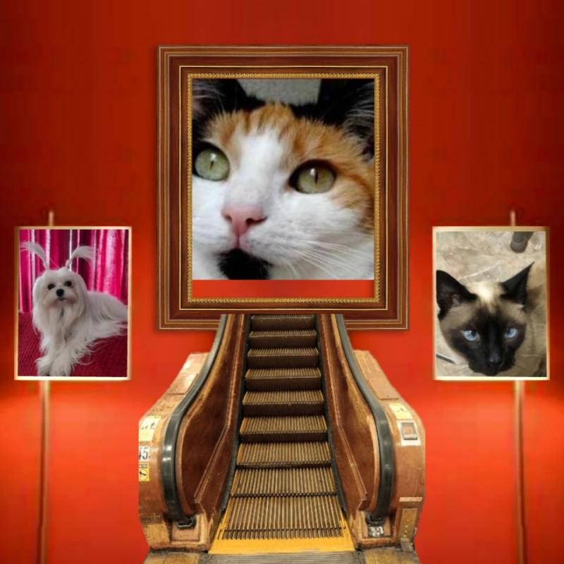 Ulvi2016 uploaded   44  day/s  ago