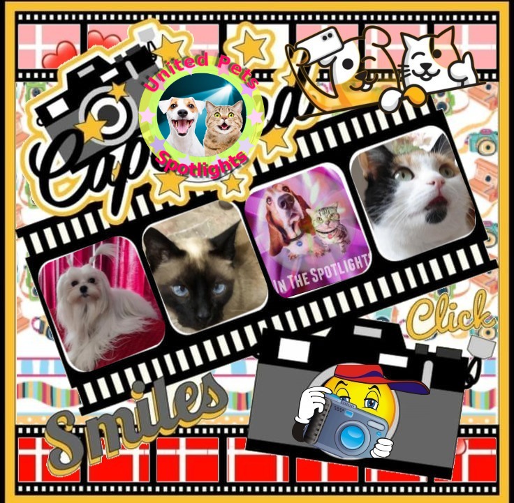 Ulvi2016 uploaded   42  day/s  ago