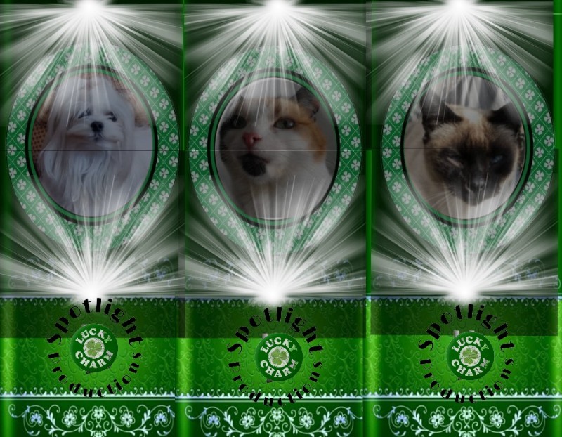 Ulvi2016 uploaded   42  day/s  ago