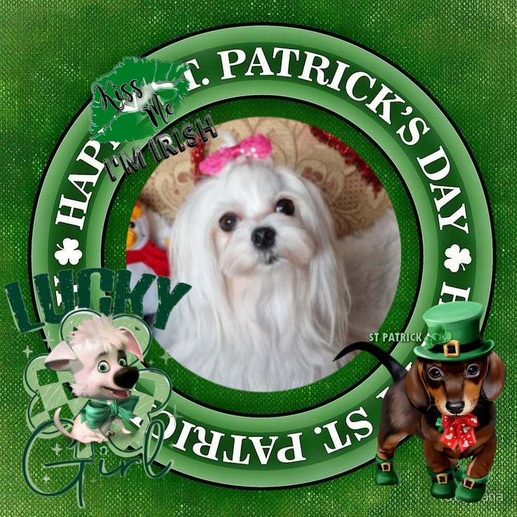 Ulvi2016 uploaded   42  day/s  ago