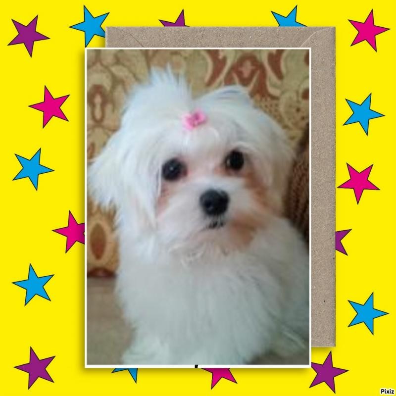 Ulvi2016 uploaded   2 year/s ago