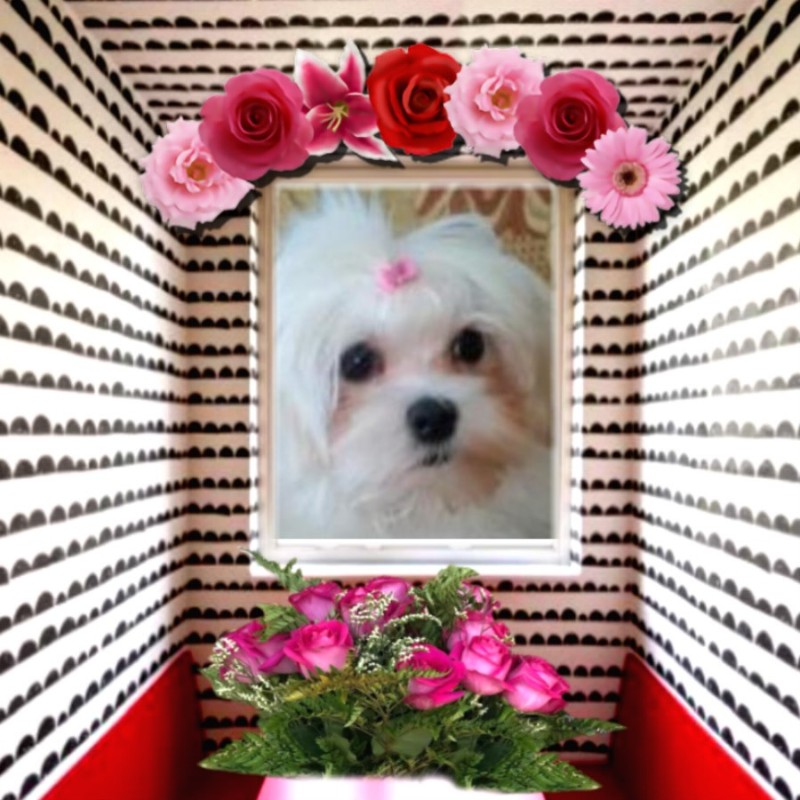 Ulvi2016 uploaded   2 year/s ago