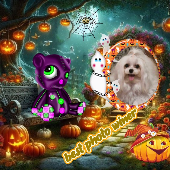 Ulvi2016 uploaded   1 year/s ago