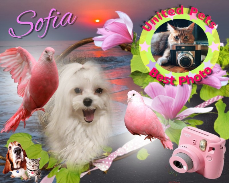 Ulvi2016 uploaded   82  day/s  ago