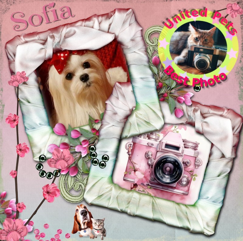 Ulvi2016 uploaded   97  day/s  ago