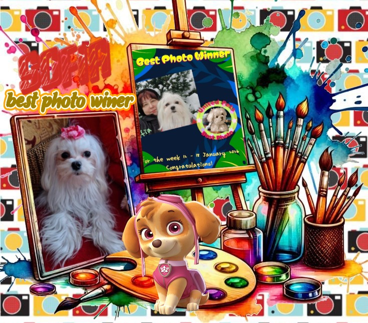 Ulvi2016 uploaded   82  day/s  ago