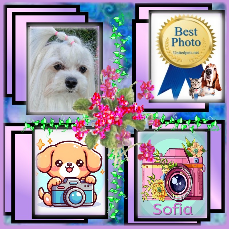 Ulvi2016 uploaded   96  day/s  ago