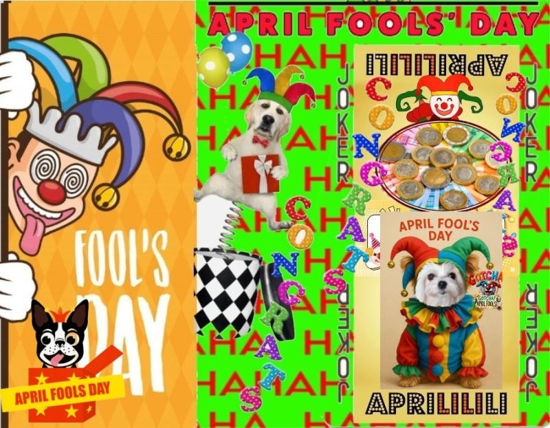 Sofia of the Ulvi2016 family