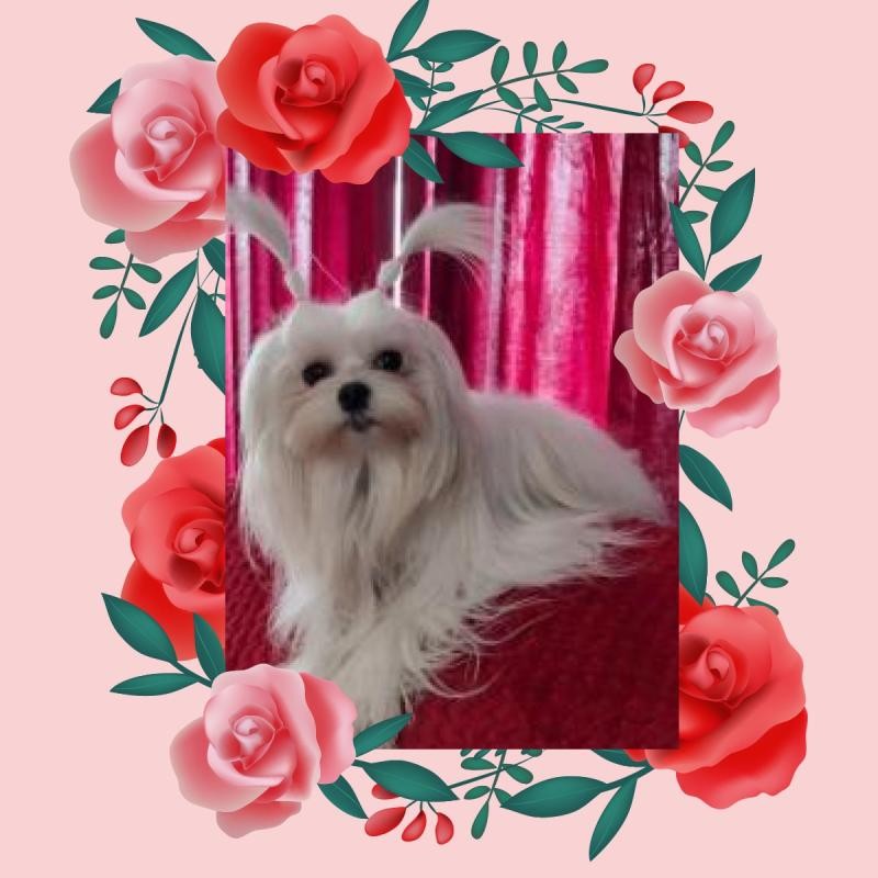 Ulvi2016 uploaded   55  day/s  ago