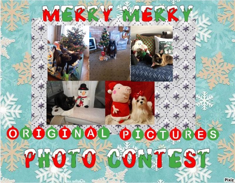 Sofia of the Ulvi2016 family