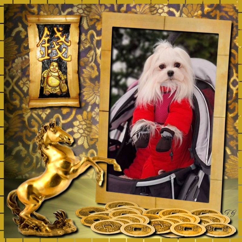 Ulvi2016 uploaded   6 hour/s ago