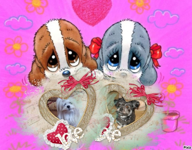 Ulvi2016 uploaded   82  day/s  ago