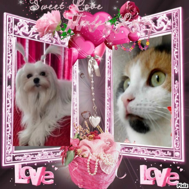 Ulvi2016 uploaded   6 hour/s ago