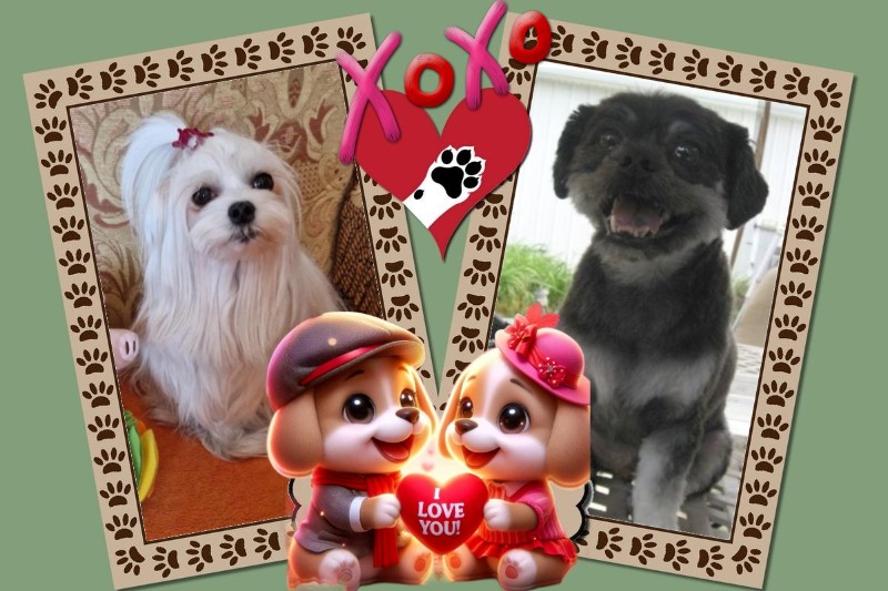 Ulvi2016 uploaded   6 hour/s ago