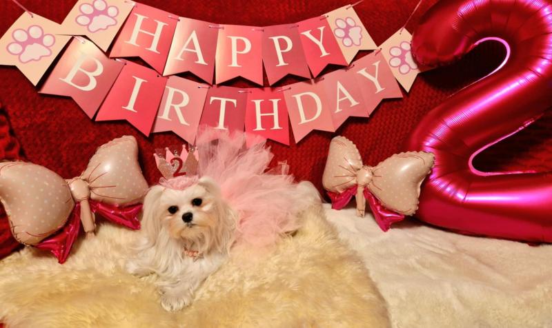 Ulvi2016 uploaded   1 year/s ago