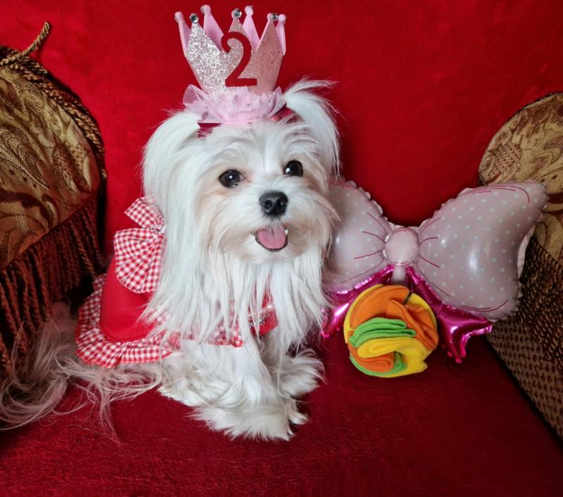 Ulvi2016 uploaded   1 year/s ago