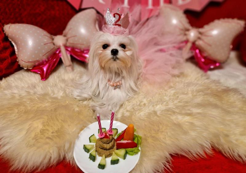 Ulvi2016 uploaded   1 year/s ago