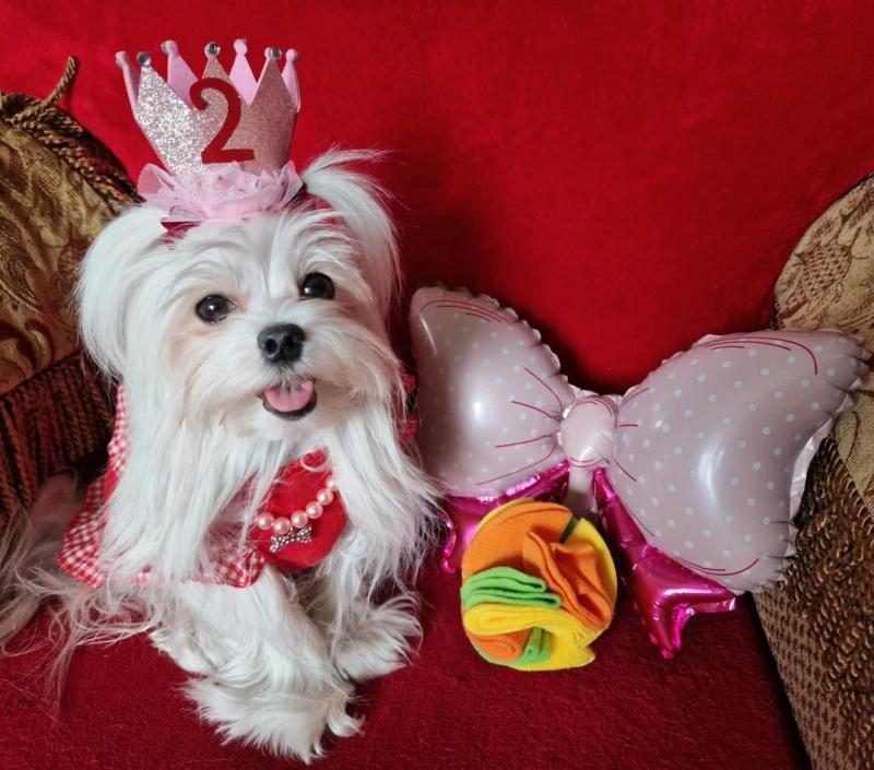 Ulvi2016 uploaded   1 year/s ago