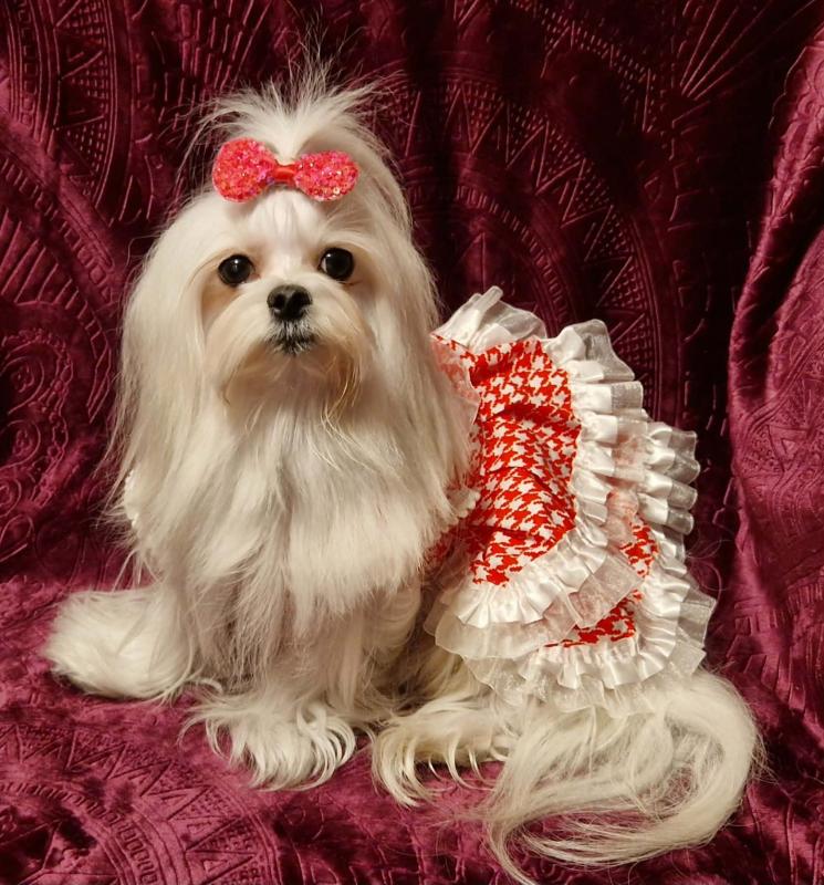 Ulvi2016 uploaded   52  day/s  ago