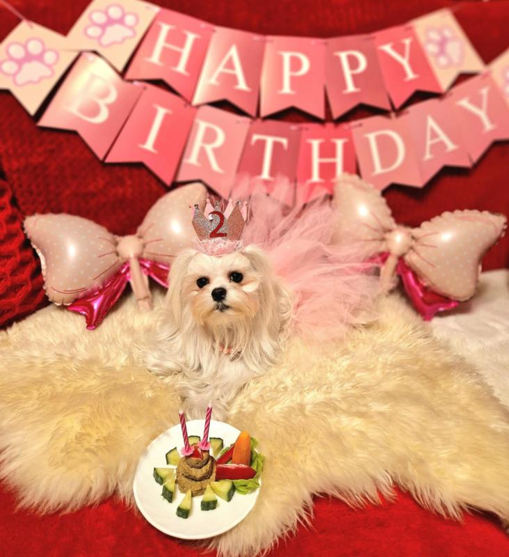 Ulvi2016 uploaded   1 year/s ago