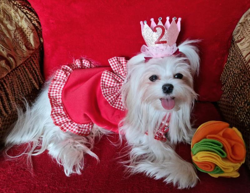 Ulvi2016 uploaded   1 year/s ago