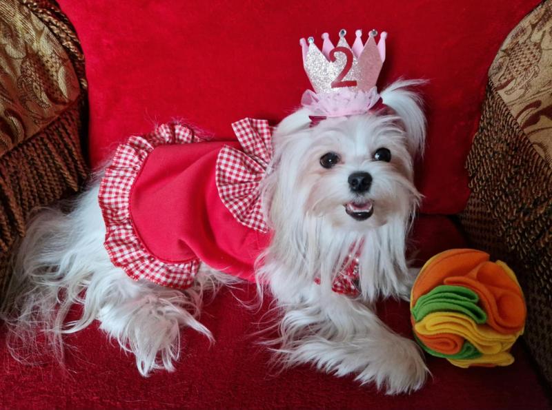 Ulvi2016 uploaded   1 year/s ago