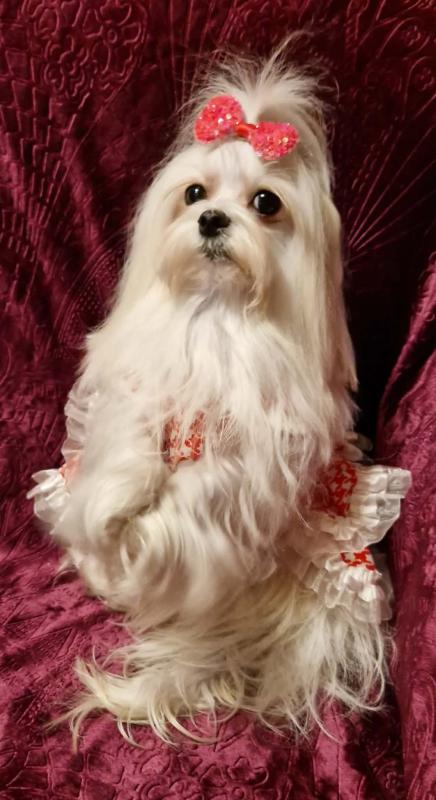 Ulvi2016 uploaded   52  day/s  ago