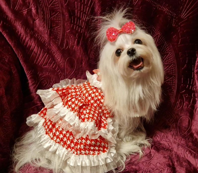 Ulvi2016 uploaded   46  day/s  ago