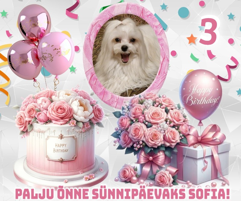 Ulvi2016 uploaded   53  day/s  ago