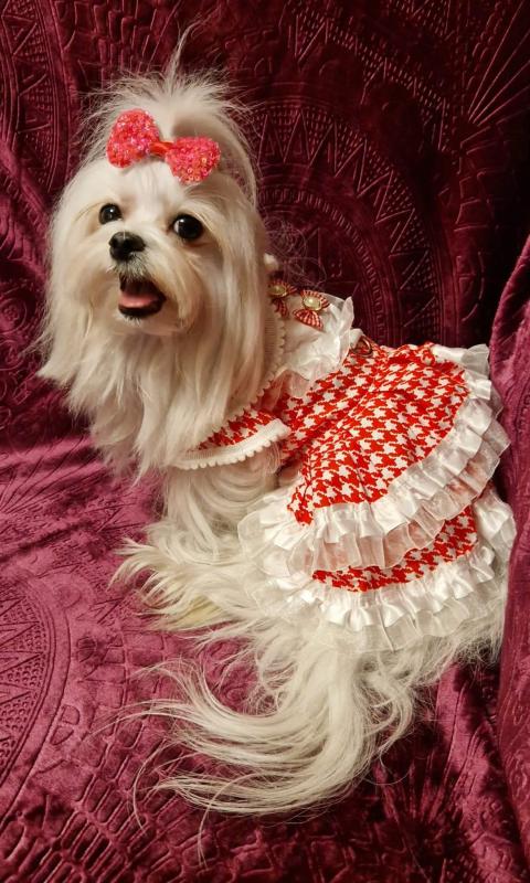 Ulvi2016 uploaded   46  day/s  ago