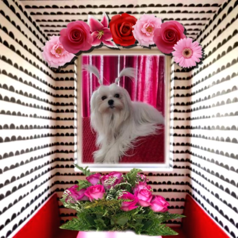 Ulvi2016 uploaded   53  day/s  ago