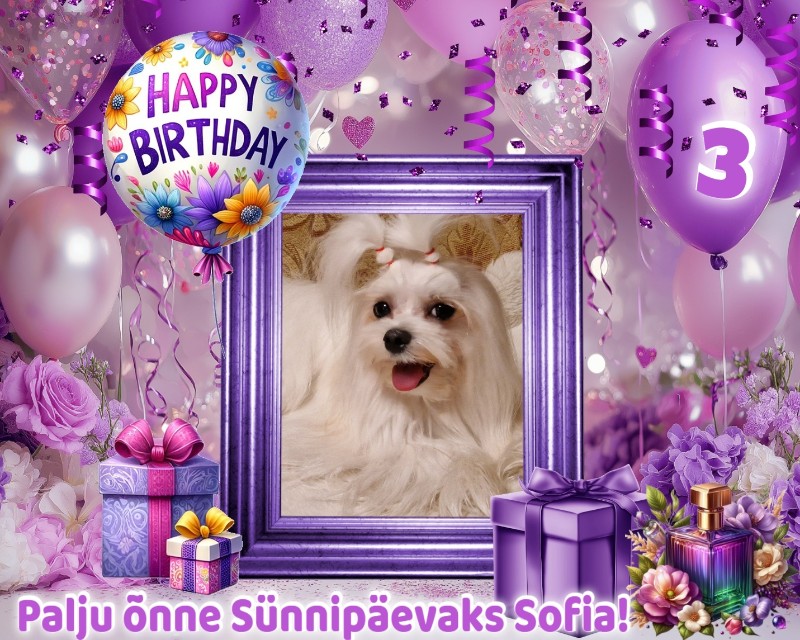 Ulvi2016 uploaded   53  day/s  ago