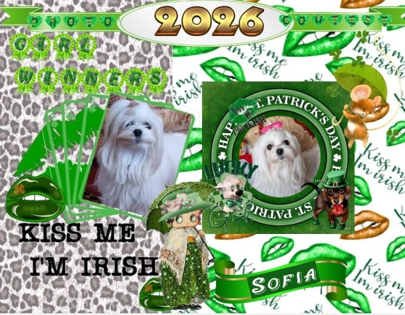 Ulvi2016 uploaded   27  day/s  ago