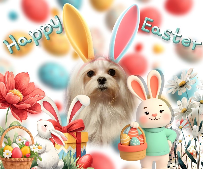 Sofia of the Ulvi2016 family