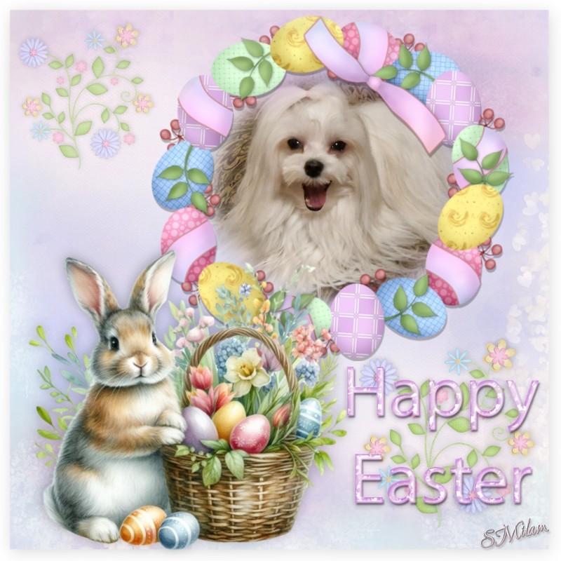 Ulvi2016 uploaded   17 hour/s ago