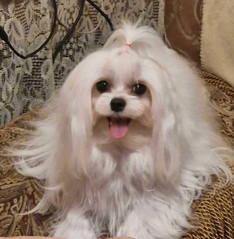 Ulvi2016 uploaded   1 year/s ago