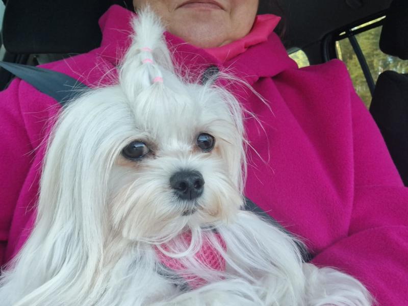 Ulvi2016 uploaded   1 year/s ago