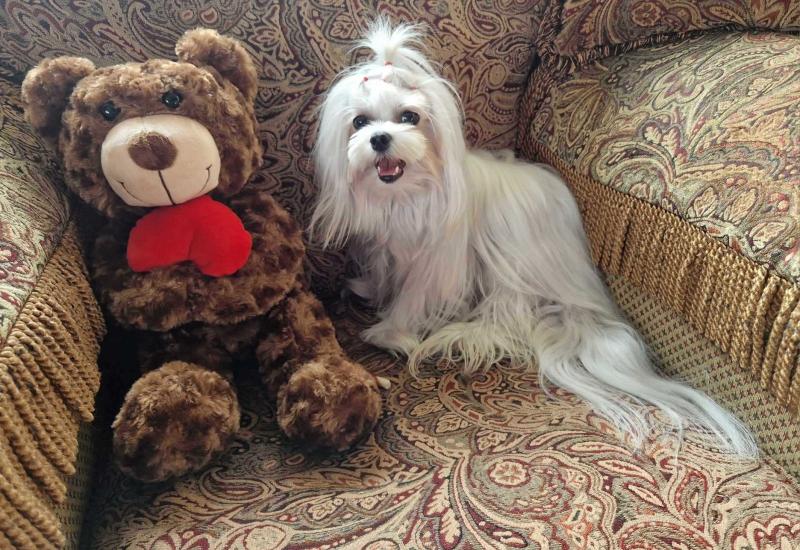 Ulvi2016 uploaded   1 year/s ago